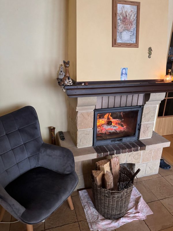 WhatsApp Image 2026-02-01 at 15.50.44